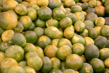 Mandarin - Fresh and organic vegetables at farmers market - Turkish Market