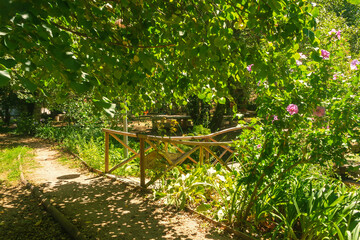 Path in the park and a wooden bridge over the stream. Shady spot under the trees on a sunny day