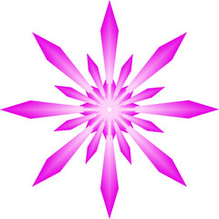 Flower petal blossom ornament icon decoration art graphic design abstract background illustration