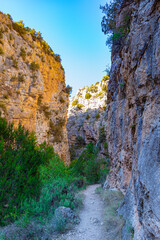 Ruta botanica del rio Ebrón en Teruel