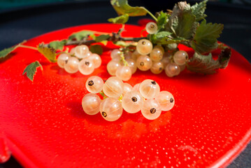 A bunch of white currant berries with leaves on a red plastic plate