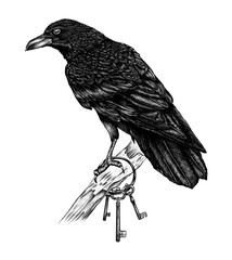 raven keeper of the keys - obrazy, fototapety, plakaty