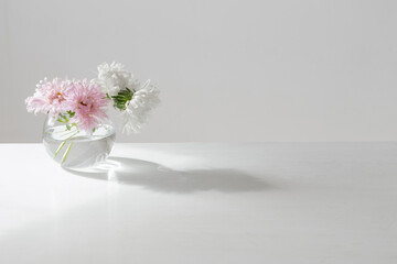 asters in round glass vase on white background