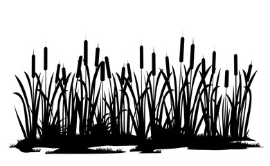 River bank with reeds. Swamp landscape. View of the river bank. Silhouette picture. Isolated on white background. Vector.