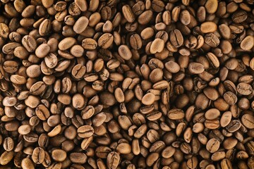 Roasted Coffee Beans
