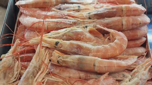 Frozen shrimp in the supermarket refrigerator. King shrimp 