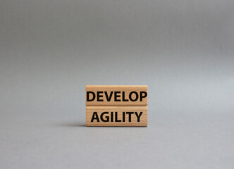 Develop agility symbol. Concept word Develop agility on wooden blocks. Beautiful grey background. Business and Develop agility concept. Copy space