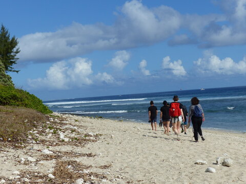 Gruppo di persone in fila indiana che cammina su una spiaggia all'isola della Réunione nell'oceano indiano.