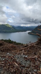 Forestry operations on Canadian coast