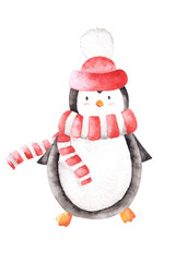 Hand drawn watercolor funny penguin in red hat with pompoms and skarf. Isoalted.Christmas and New year kids illustration design aquarelle elements for print cards, decorations, fabric