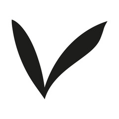 autumn foliage leaves summer