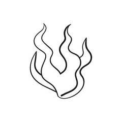 autumn foliage leaves summer