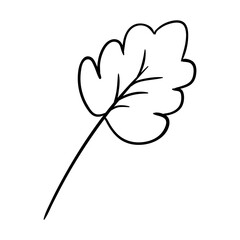 botanical foliage wedding decoration