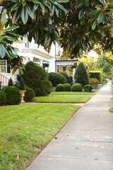 Obraz premium Town, Colonial Buildings, Shrubs, Lawns, Sidewalk