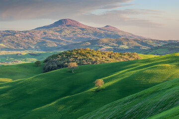 Landscape of the Val d'Orcia countryside with picturesque green fields, yellow flowers and Mount Amiata in the background, Tuscany, Italy