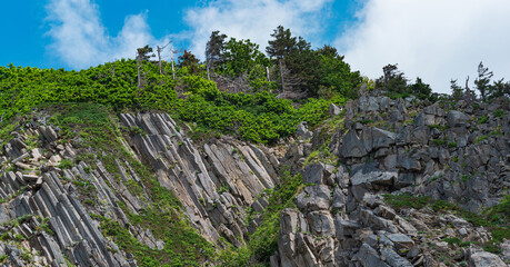 natural background, rock surface formed by inclined basalt columns