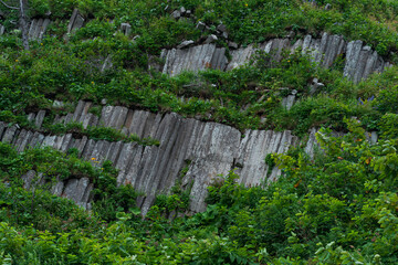 sheer columnar basalt cliffs overgrown with lush vegetation