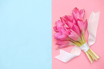 Floral spring colorful background in blue and pink colors, place for text and congratulations