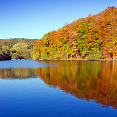 Autumn background with reflection colorful trees in the forest lake.