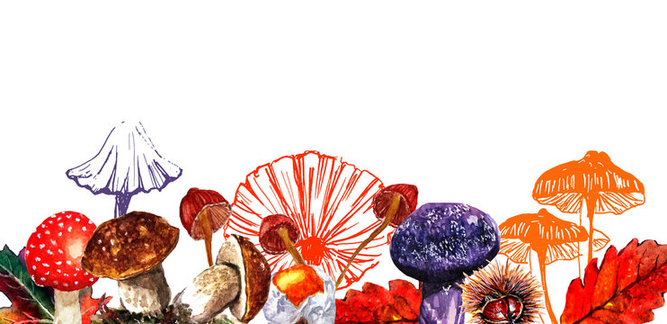 Banner con elementi del bosco in autunno, illustrazione isolata su sfondo bianco