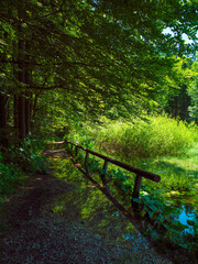 Pathway to the Lake Taferlklaussee in the Austrian Alps