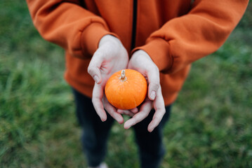 A girl holds pumpkins. Pumpkins in their hands on a background of green grass. Juicy orange pumpkins in the green grass in the field. Picnic. Halloween. Gardening