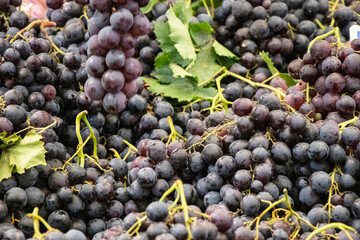 Black Grape - Fresh and organic vegetables at farmers market - Turkish Market