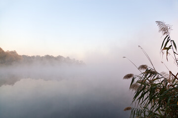 Dense fog over calm river at dawn, reeds in the foreground. Ukraine.