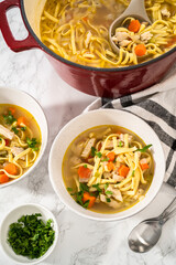 Chicken Noodle Soup
