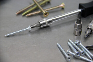 A set of bits, a screwdriver and screws. Screwing in screws