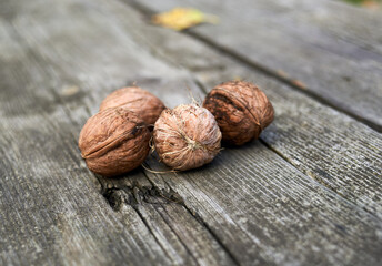 Photo of four walnuts on the table
