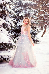 Beautiful woman in a luxurious blue fairy-tale dress in a snowy forest