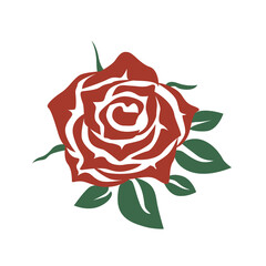 Rose isolated on white. PNG.