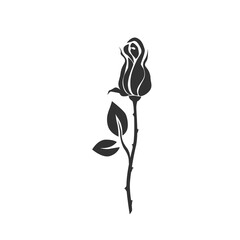 Rose isolated on white. PNG.