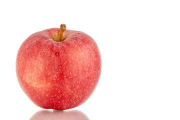 One ripe red apple, macro, isolated on white background.