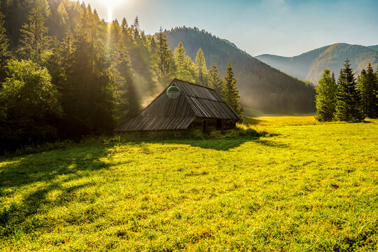 Fototapeta Tatra National Park in Poland. Tatra mountains panorama, Poland colorful flowers and cottages in Gasienicowa valley (Hala Gasienicowa) Hiking in nature near Kasprowy Wierch