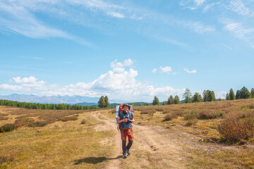 Obraz premium Alone traveler with large backpack walks along hiking trail on sunlit high mountain plateau under white clouds in blue sky. Backpacker with photo camera in autumn mountain trekking in good weather.