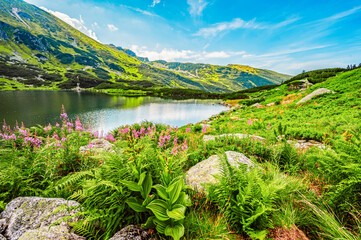 Tatra National Park in Poland. Tatra mountains panorama, Poland colorful flowers and cottages in Gasienicowa valley (Hala Gasienicowa), Zielony Staw Gąsienicowy - obrazy, fototapety, plakaty
