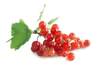 Bunch of red currant (Ribes rubrum) isolated on white