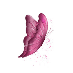 Beautiful pink and purple butterfly. Illustration. Watercolour