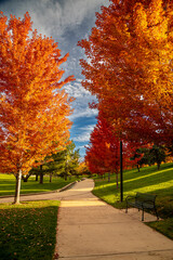 Peak Fall Color in south Denver Colorado urban park