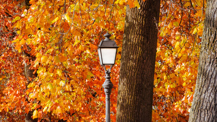 Autumn and foliage in the park. Vintage street lamp among autumnal leaves
