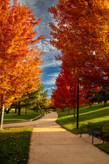 Peak Fall Color in south Denver Colorado urban park