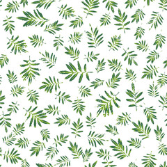 Naklejka na ściany i meble Marigold Leaves Seamless Pattern Background