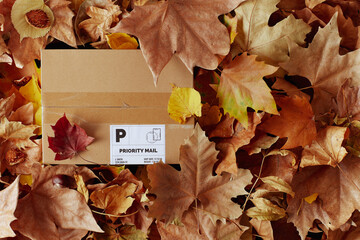 Fototapeta autumn background with parcel and leaves obraz