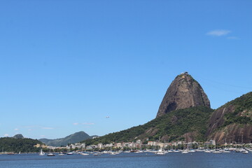 P&atilde;o de a&ccedil;&uacute;car