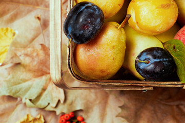 autumn background with apples, pears, plums, leaves and basket