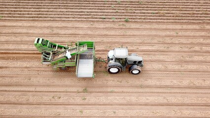 Tractor pulls potato harvesting machine on a field, agriculture, potato cultivation, aerial view,...