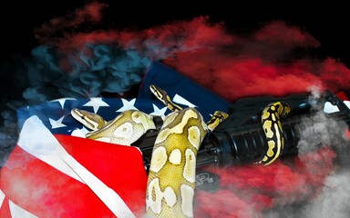 Obraz premium Don't Tread On Me