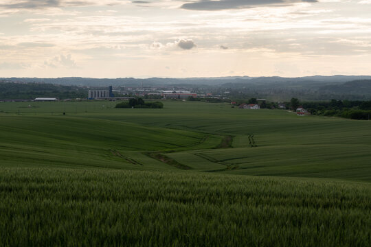 Fields sown with cereals in Polje near Derventa during cloudy day in spring